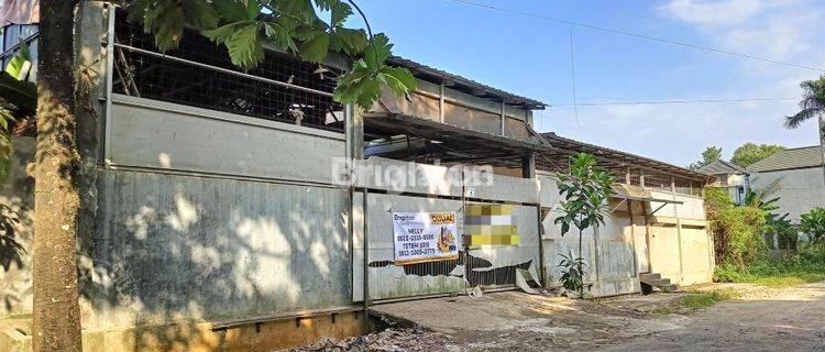 RUMAH TINGGAL DAN GUDANG UNTUK USAHA 1