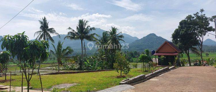 Jual Tanah Murah Legalitas Aman Lokasi Strategis Di Bogor Timur 1