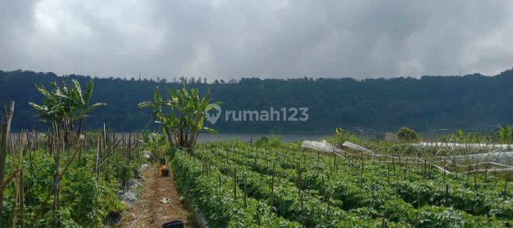 TANAH LOS DANAU BUYAN 1.27 Ha 1