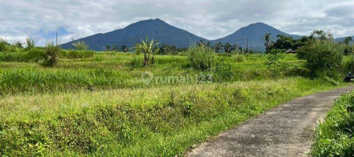 Tanah Jatiluwih Penebel Tabanan 32 Are  1