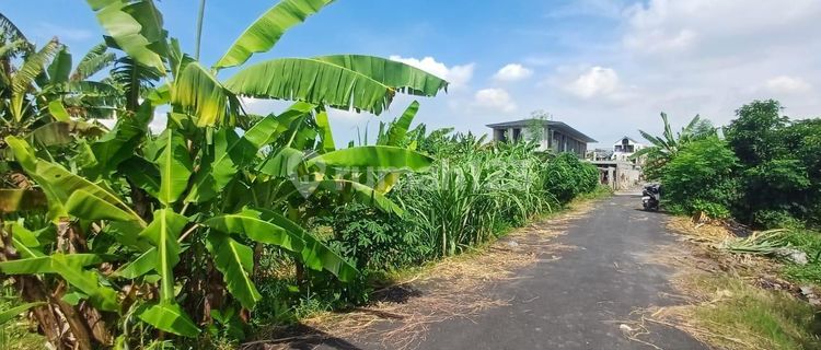Tanah Padang Galak 194 M² Luasan Kecil Termurah 1