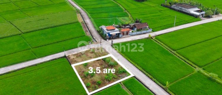 Tanah Dijual Lokasi Premium Siap Bangun di Jl. Pantai Nyanyi, Beraban, Kec. Kediri, Kabupaten Tabanan, Bali, Tabanan 350.0 1