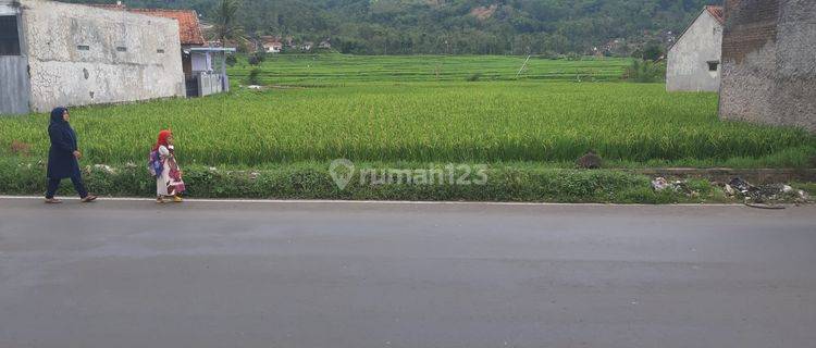 Tanah Sawah Murah Strategis di Bojong Pasir Jambu Garut Kota 1