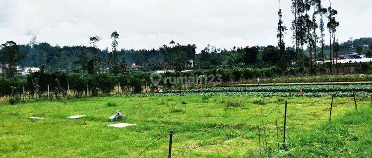 Dijual Lahan Dekat Wisata Paralayang Dan Flower Santera Batu 1