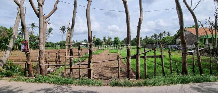 Kavling Siap Bangun Di Jl Sangiang Desa Gempol Sari Tangerang 1