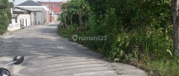 Tanah di Jl. Todak Ke Timur 280 An Meter Jl. Udang Putih  1