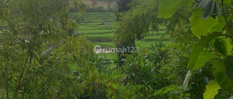 FOR RENT Beautiful land on the river bank with views of rice terraces 1