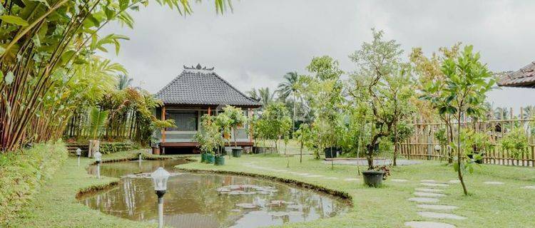 Dijual Villa Tanah Luas 25are Di Tabanan Bali 7,7m 1