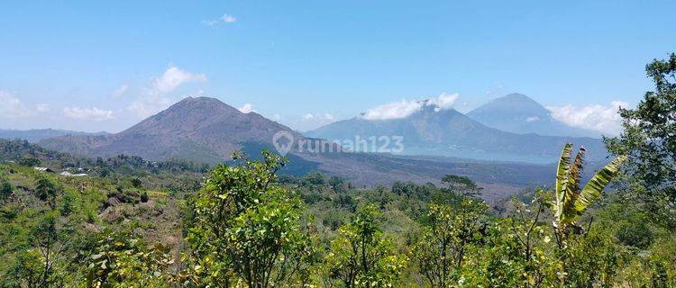 Lahan Premium Area Sejuk View Gunung Di Kintamani Bali 1