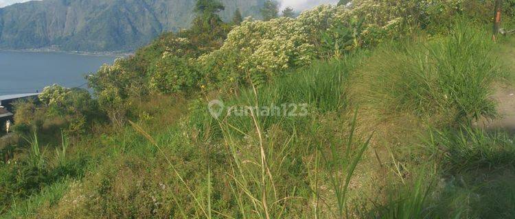 Tanah Istimewa View Gunung Laut Zona Pariwisata Di Kintamani Bali 1