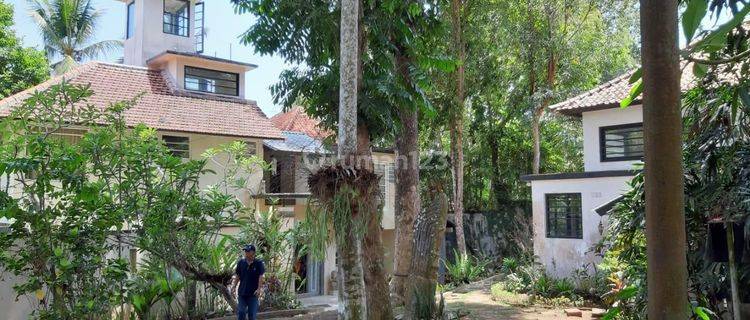 Villa View Jungle Loss Sungai Petani Tengkulak Kaja Gianyar 1