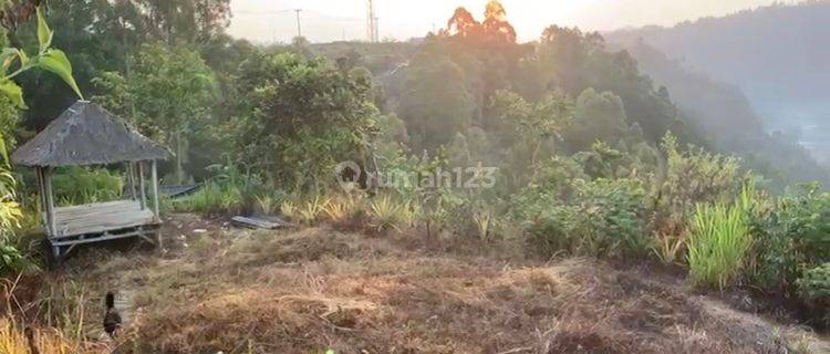 Tanah Sunrise Point Dekat Jalan Raya Di Pinggan Kintamani Bali 1