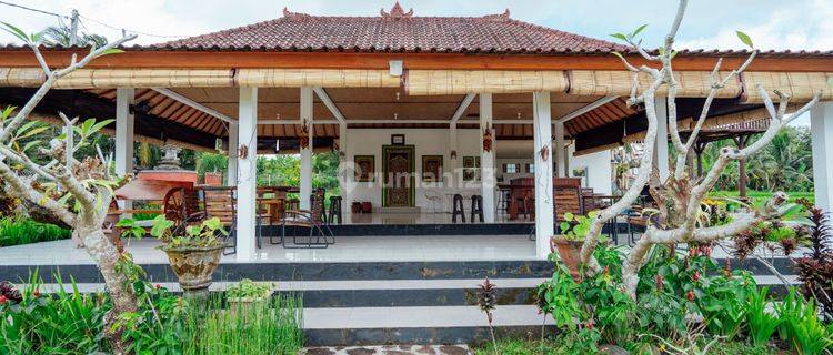 Villa Nyaman Bebas Polusi View Sawah Dan Gunung Di Tabanan 1