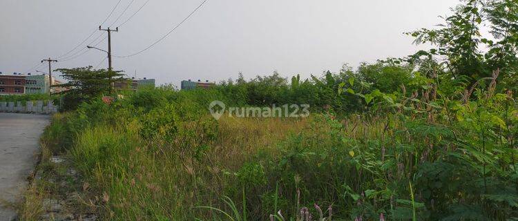 Tanah Siap Bangun SHM Pinggir Jalan Delta Mas Cikarang  1