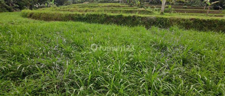 Tanah Cidahu Sukabumi Pinggir Jalan Bonus Bangunan Isinya  1