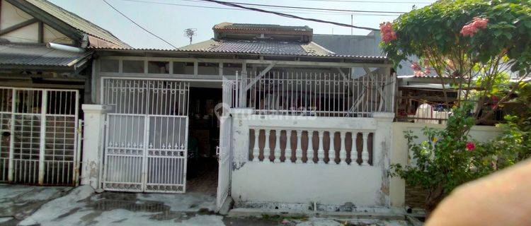 Rumah 2 Lantai di Jl. Jagung 
 1