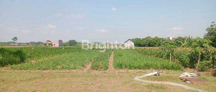 TANAH 700m2 DEKAT GOR JOYOBOYO, KEDIRI 1