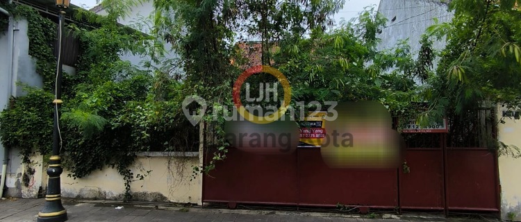 Plot in the Old Town Area 1