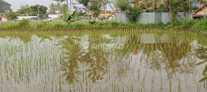 Di Jual Tanah Mainroad Di Bawah Harga Pasar, Di Muntilan Magelang Jawa Tengah 1