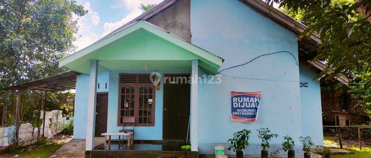 Rumah Dijual di Alam Barajo, Jambi 1