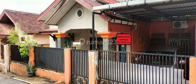 Rumah Minimalis Harga Murah Dekat Terminal Di Simpang Rimbo Jambi 1