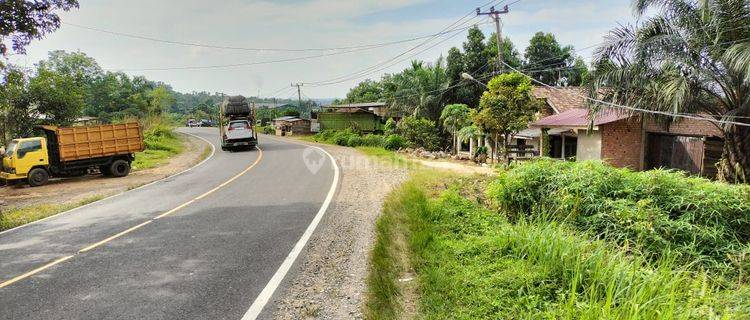 Tanah Dijual Pinggir Jalan Lintas Dekat Kantor Bupati Muaro Jambi 1