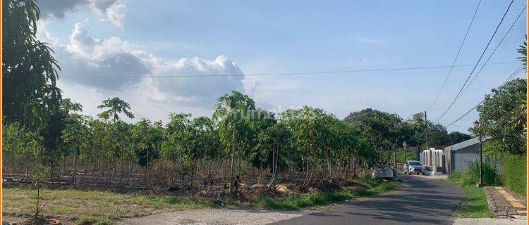 Tanah Villa di Ring 1 Candi Borobudur Magelang 1