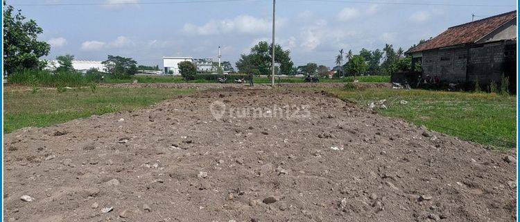 Jual Tanah Kemudo, Timur Candi Prambanan  1