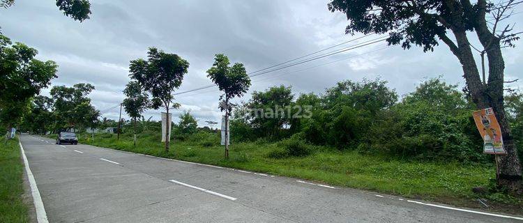 Tanah Pinggir Jalan Blabak Mungkid Dekat Exit Tol Borobudur Magelang 1