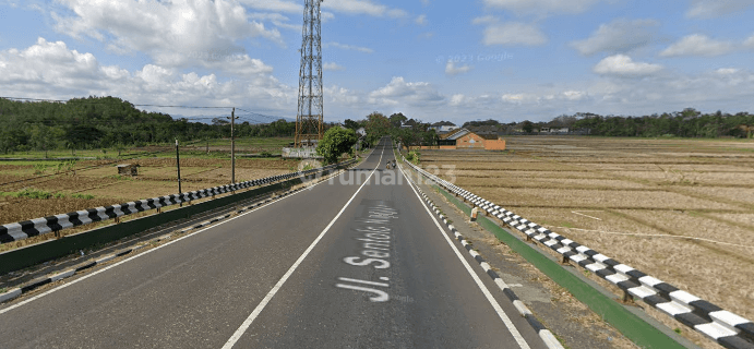 Tanah Murah Sentolo 90 Jt Dekat Jalan Utama Kulonprogo Jogja  1