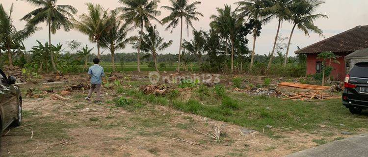 Tanah Pengasih Kulonprogo Dekat Kampus UAD Wates & Bandara YIA 1