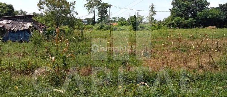 Tanah Luas Cocok Untuk Perumahan Gudang di Dawuan Karawang 1