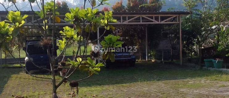 Jual Tanah Beserta 2 Rumah di Bandongan Magelang Jawa Tengah 1