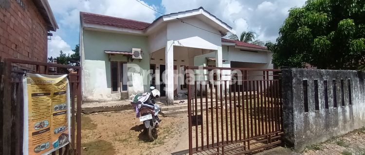 READY TO OCCUPY HOUSE, WIDE LAND, AFFORDABLE, TALANG KELAPA, SOUTH SUMATRA 1