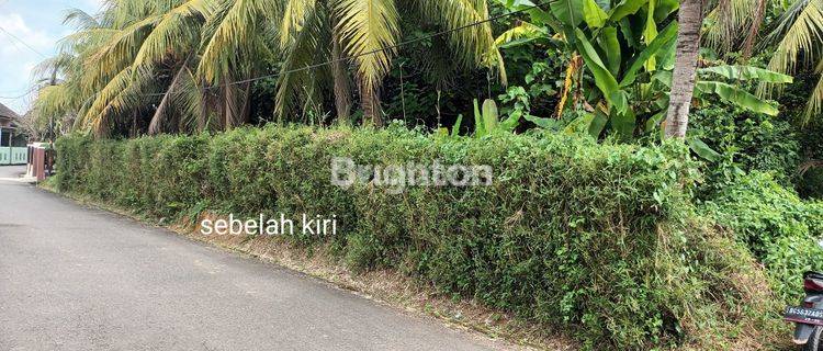 TANAH LUAS BISA BUAT USAHA LOKASI STRATEGIS SAKO SUMATERA SELATAN 1