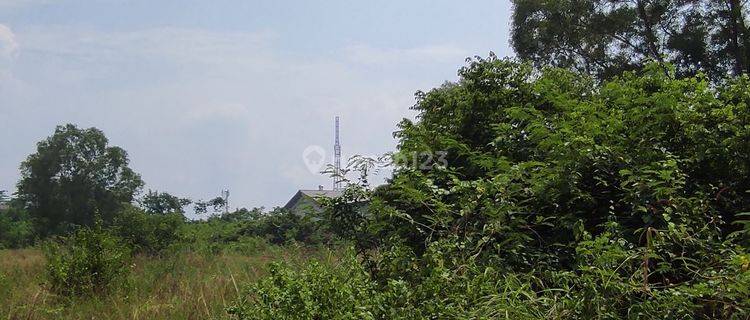 TANAH KOMERSIL SIAP BANGUN SERANG BARAT 1