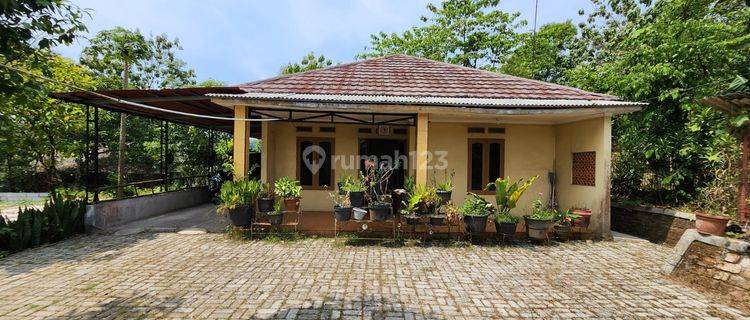 Rumah Dan Lahan di Rangkas Bitung, Lebak Banten 1