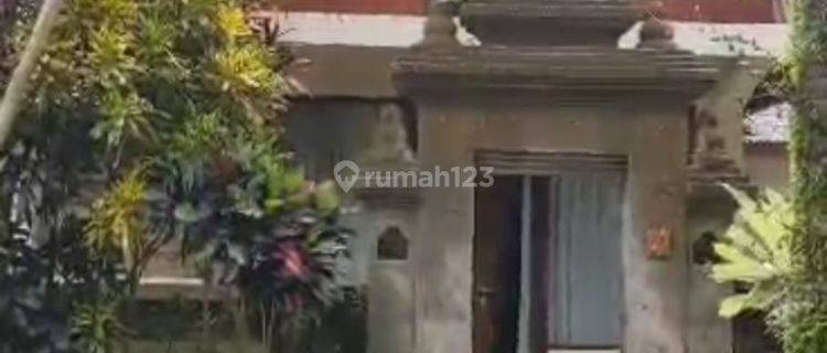 Tanah Dijual di Ubud, Bali 1