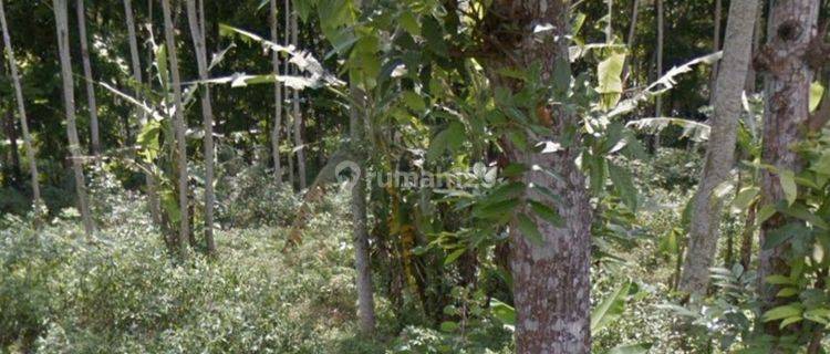 Dijual Cepat  Tanah Di Bugel Salatiga 1