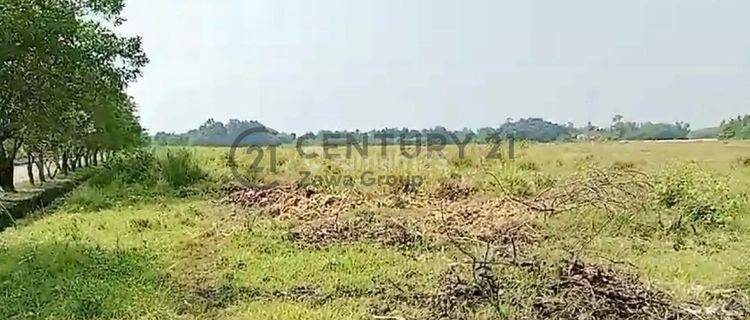 Dijual Tanah Industri Di Jawilan Cikande Serang Banten 1