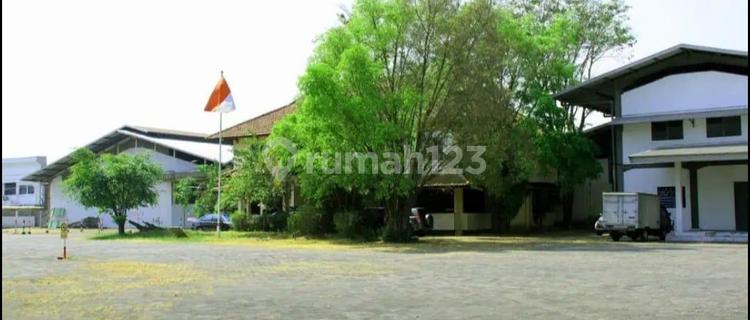 For Sale Nice and Luxurious House in Kelapa Gading, North Jakarta 1