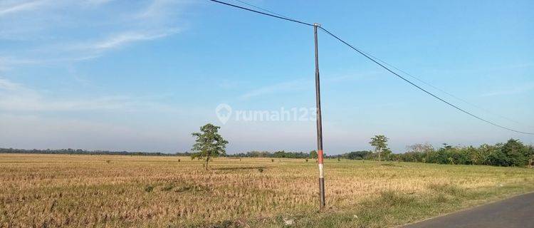 Dijual Cepat Lahan Industri Siap Bangun Di Majalengka  1