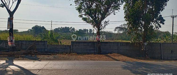 Tanah di Karawang timur klari 16ha SHM super murah strategis  1