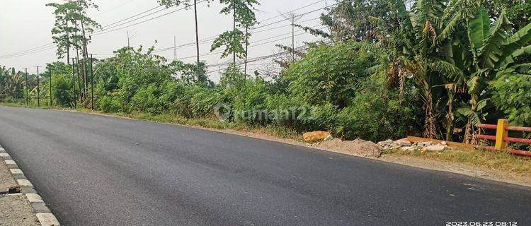 Tanah 30ha di Klari SHM zona komersil pergudangan karawang timur  1