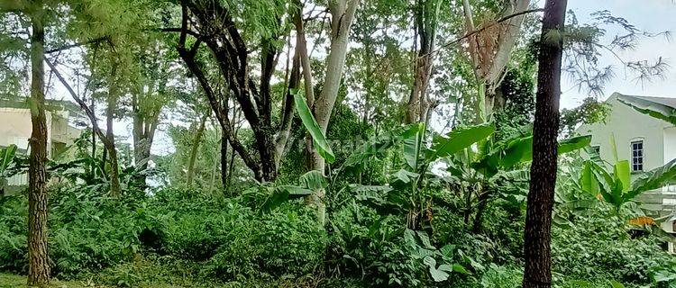 Tanah Murah di Sentul City 2.038m² Hadap Bukit 1