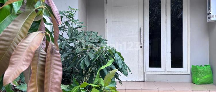 Disewakan Rumah 2 Kamar Tidur Di Cluster Verdi Gading Serpong (aud) 1