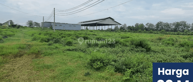 Dijual Tanah Luas 39.430 M Tayu Pati Jepara 1