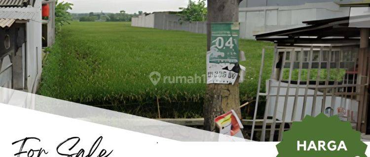 Dijual Tanah Sawah Pinggri Jalan Rowosari Weleri Kendal  1