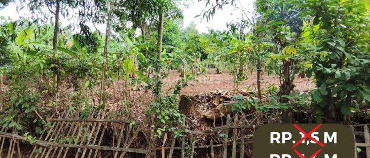 Dijual Tanah Dawuan Barat Cikampek Karawang 1