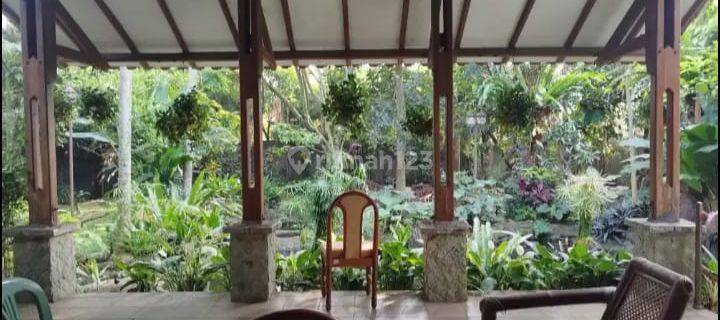 Rumah Asri View Pegunungan Di Jual Di Bogor 1